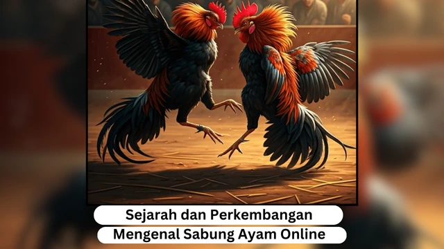 sabung ayam - jo-fitness.com